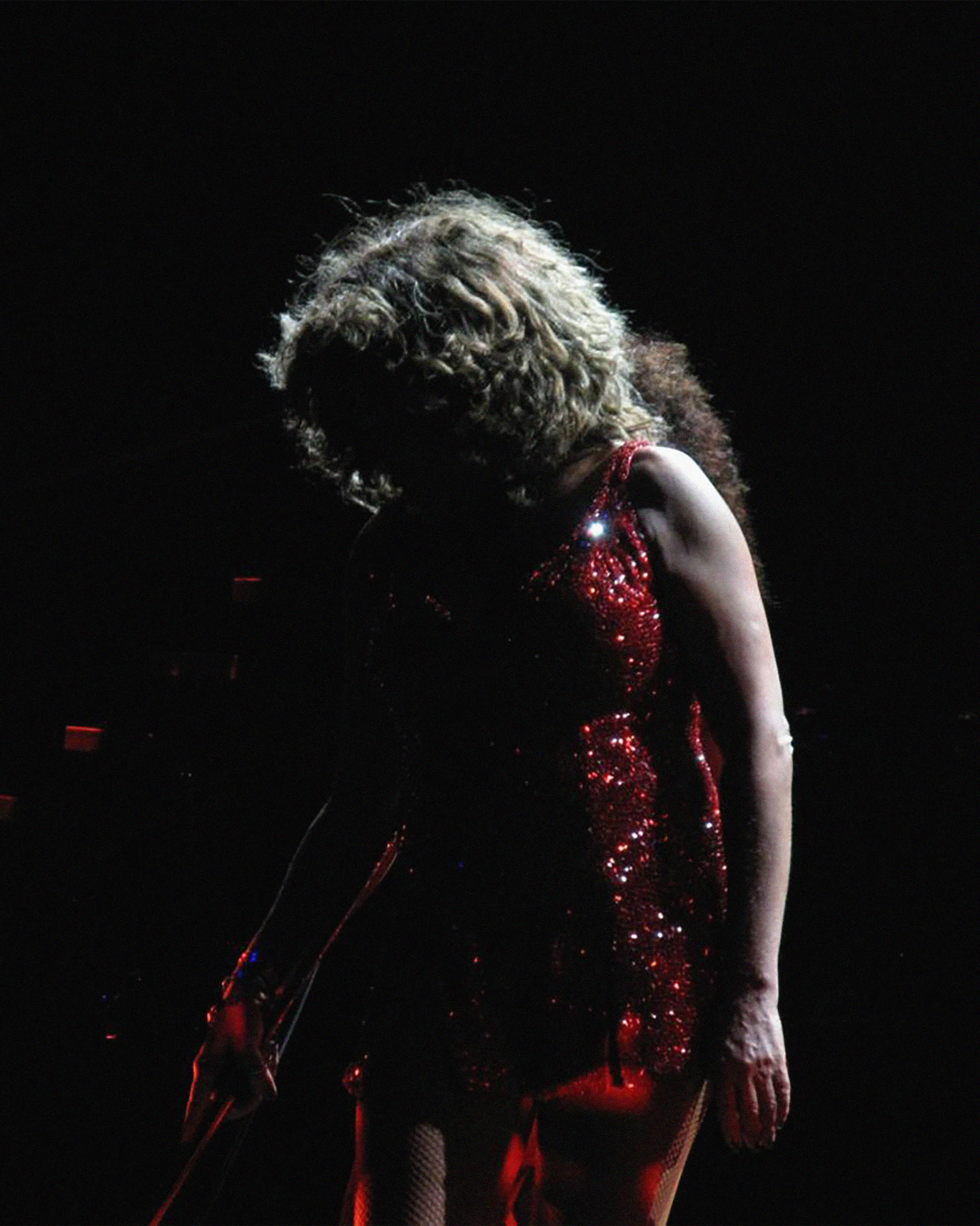 Picture of Tina Turner in her red sparkly dress